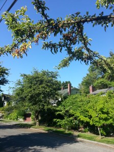 20140606_081819