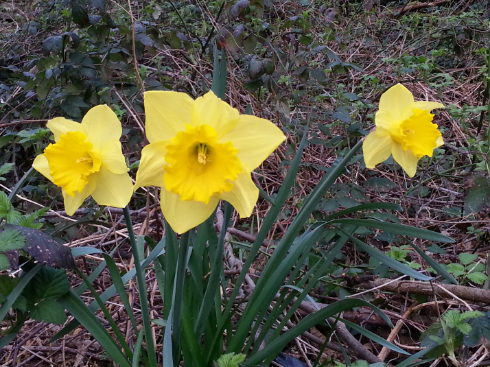 20150313_082637