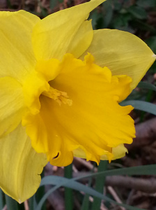 20150313_082903