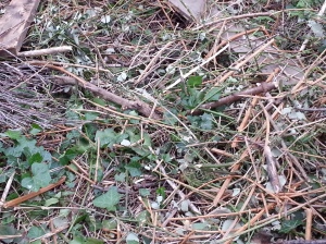 20150313_180705