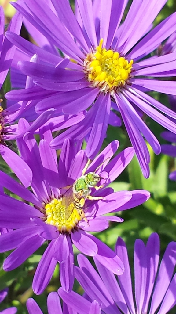 20150904_165007