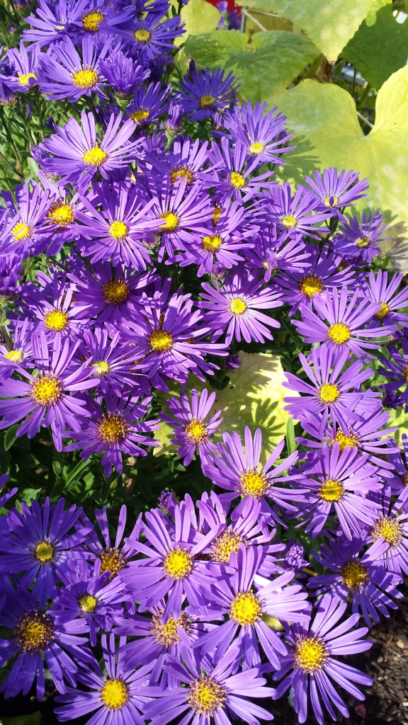20150904_165032