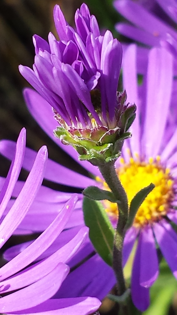 20150904_165055