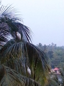 20131206_181113_resized