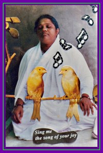 Nirmalamrita's meditation picture