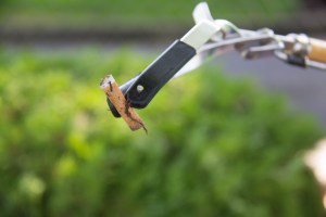 2013_LitterProjet-18