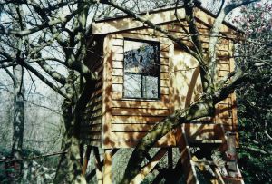 Tree house