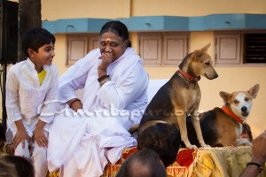 Photo Credit: amritapuri.org