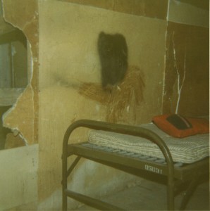 ps_2015_11_24___13_08_22