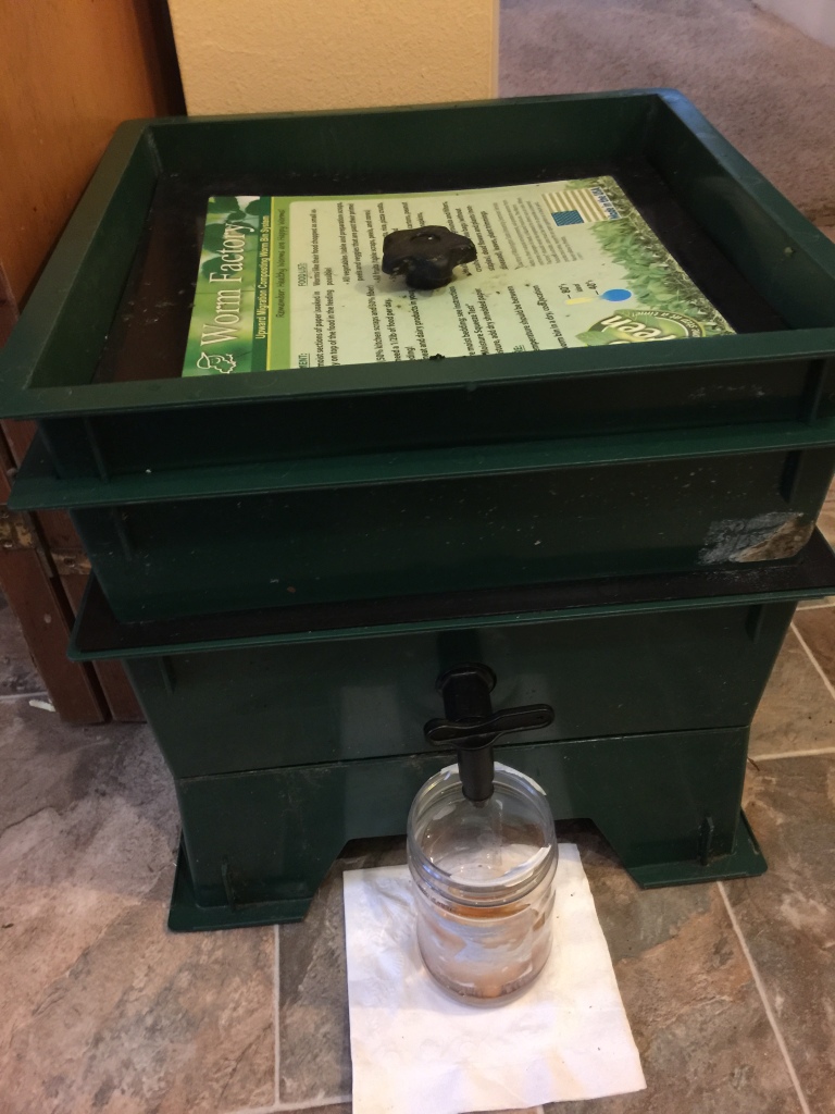 My worm composting bin with a jar to collect the liquid they produce in addition to the castings.