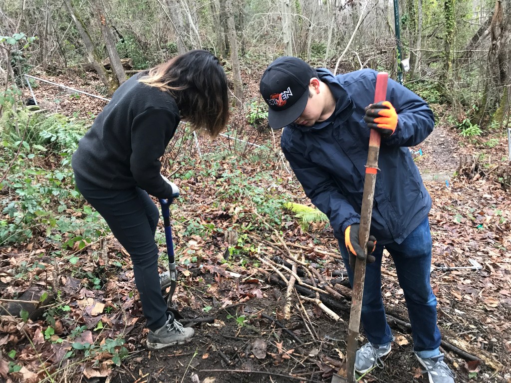 A picture containing outdoor, person, grass, tool

Description automatically generated